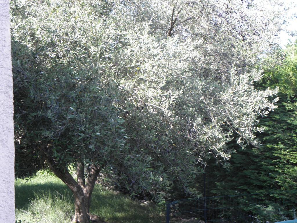 Apartmán La Parenthese Sommières Pokoj fotografie